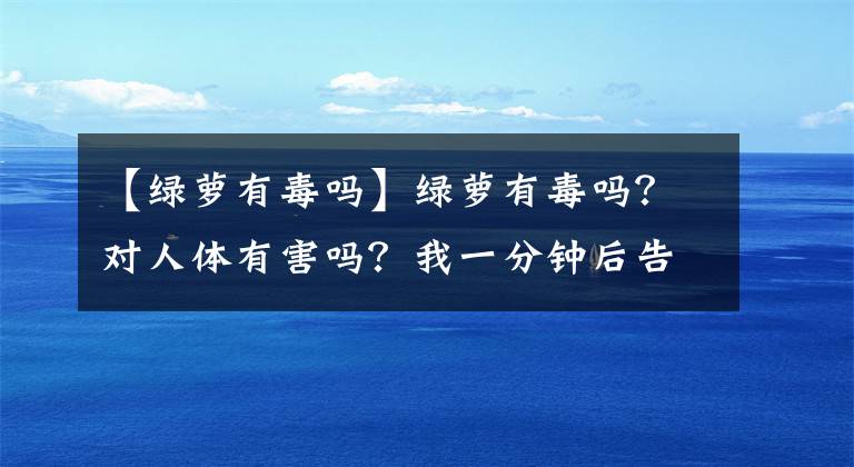 【綠蘿有毒嗎】綠蘿有毒嗎？對(duì)人體有害嗎？我一分鐘后告訴你格林羅斯能不能養(yǎng)。