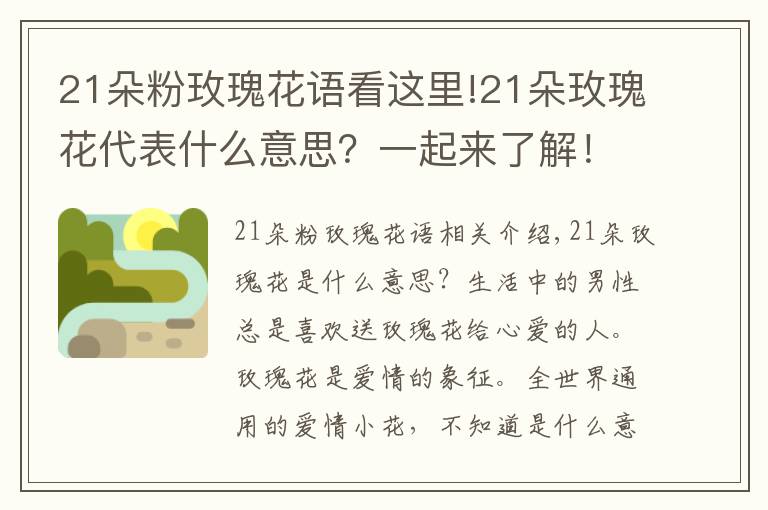 21朵粉玫瑰花語(yǔ)看這里!21朵玫瑰花代表什么意思？一起來(lái)了解！