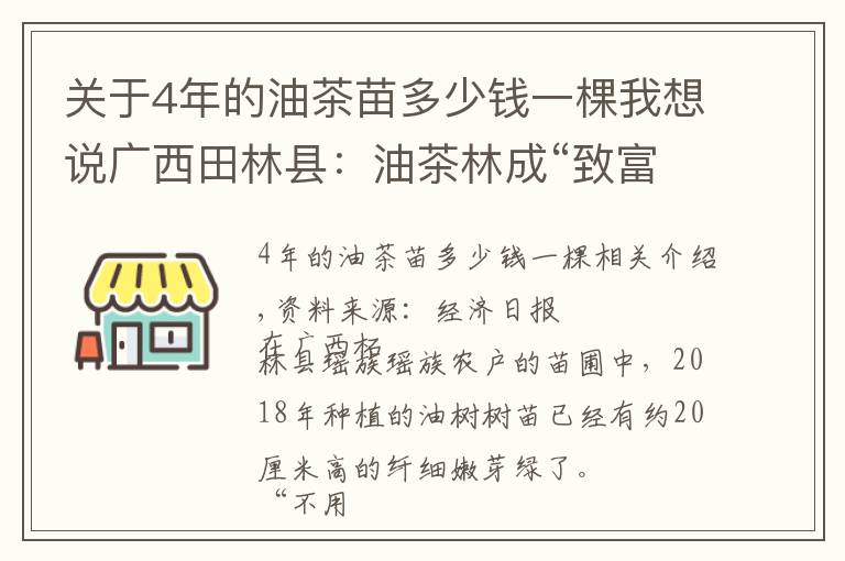 關(guān)于4年的油茶苗多少錢一棵我想說廣西田林縣：油茶林成“致富林”