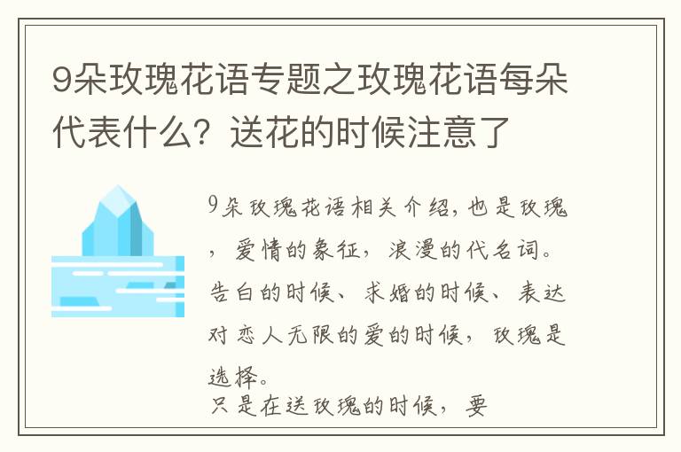 9朵玫瑰花語(yǔ)專(zhuān)題之玫瑰花語(yǔ)每朵代表什么？送花的時(shí)候注意了