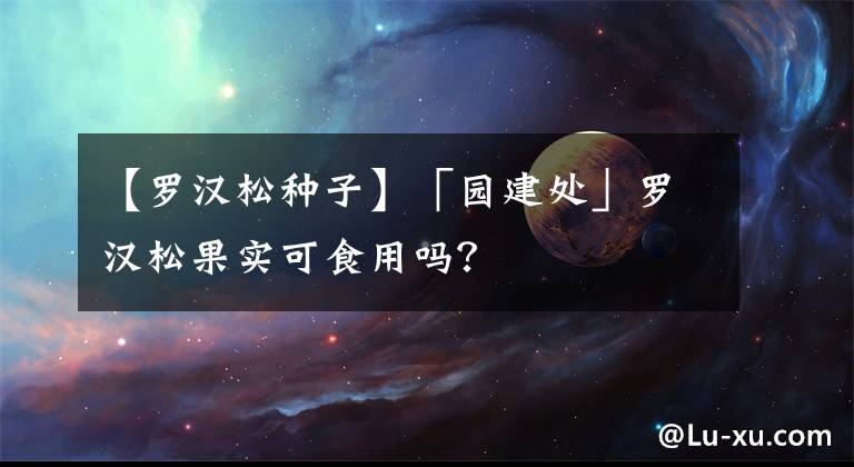 【羅漢松種子】「園建處」羅漢松果實(shí)可食用嗎？