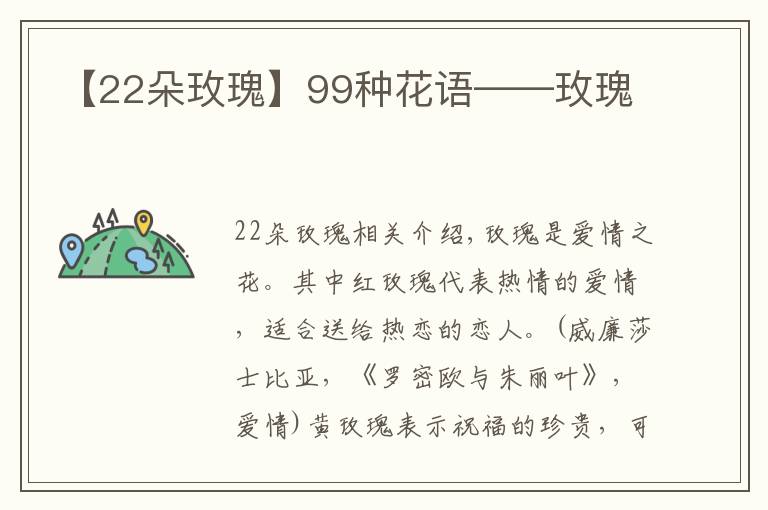 【22朵玫瑰】99種花語(yǔ)——玫瑰