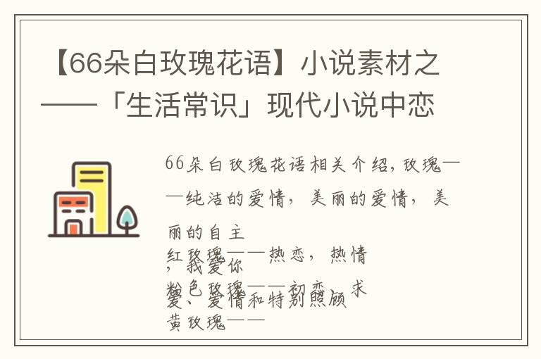 【66朵白玫瑰花語】小說素材之——「生活常識」現(xiàn)代小說中戀愛必備送花花語