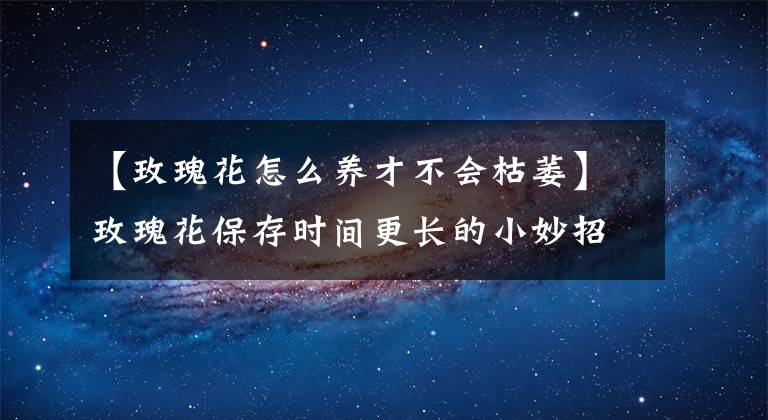 【玫瑰花怎么養(yǎng)才不會(huì)枯萎】玫瑰花保存時(shí)間更長(zhǎng)的小妙招