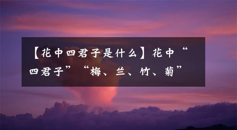 【花中四君子是什么】花中“四君子”“梅、蘭、竹、菊”，都代表了什么樣的性格？