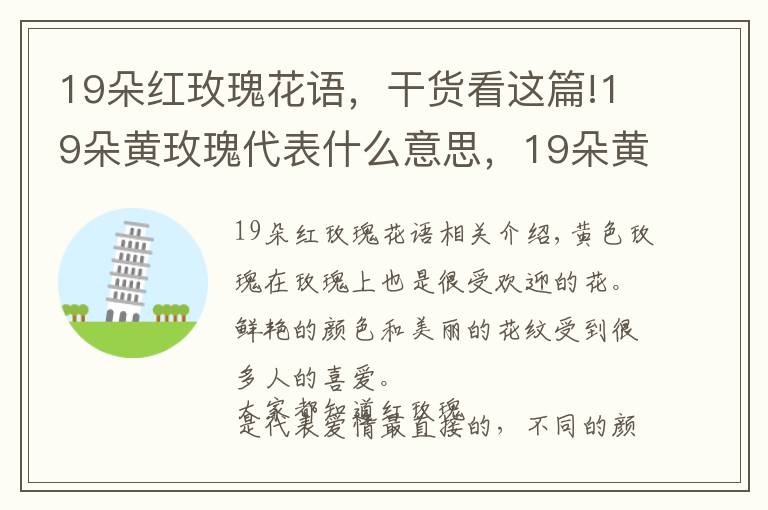 19朵紅玫瑰花語(yǔ)，干貨看這篇!19朵黃玫瑰代表什么意思，19朵黃玫瑰花語(yǔ)是什么（為愛(ài)道歉）