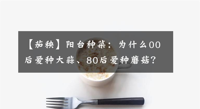 【茄秧】陽臺種菜：為什么00后愛種大蒜、80后愛種蘑菇？