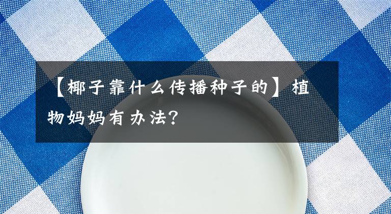 【椰子靠什么傳播種子的】植物媽媽有辦法？