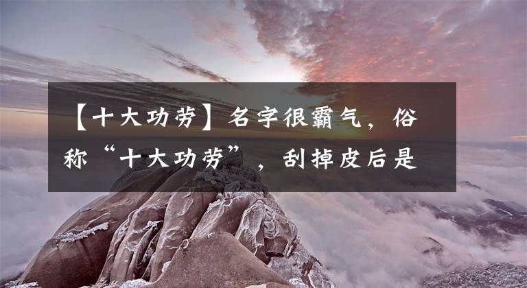 【十大功勞】名字很霸氣，俗稱“十大功勞”，刮掉皮后是金黃色，遇到請(qǐng)珍惜