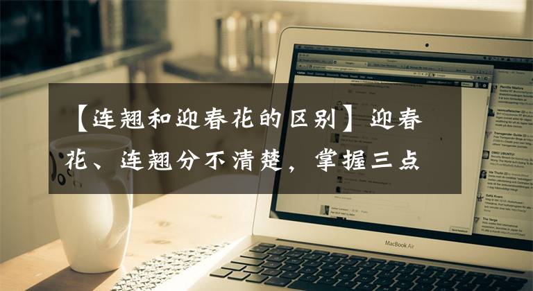 【連翹和迎春花的區(qū)別】迎春花、連翹分不清楚，掌握三點(diǎn)，一目了然