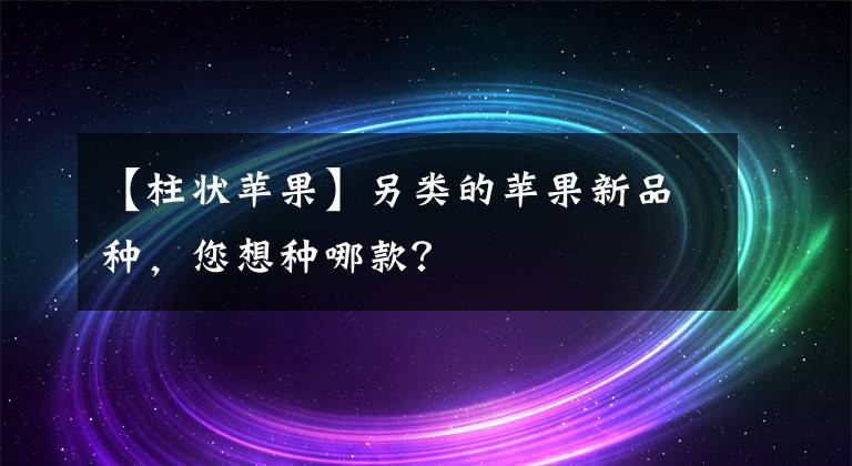 【柱狀蘋果】另類的蘋果新品種，您想種哪款？