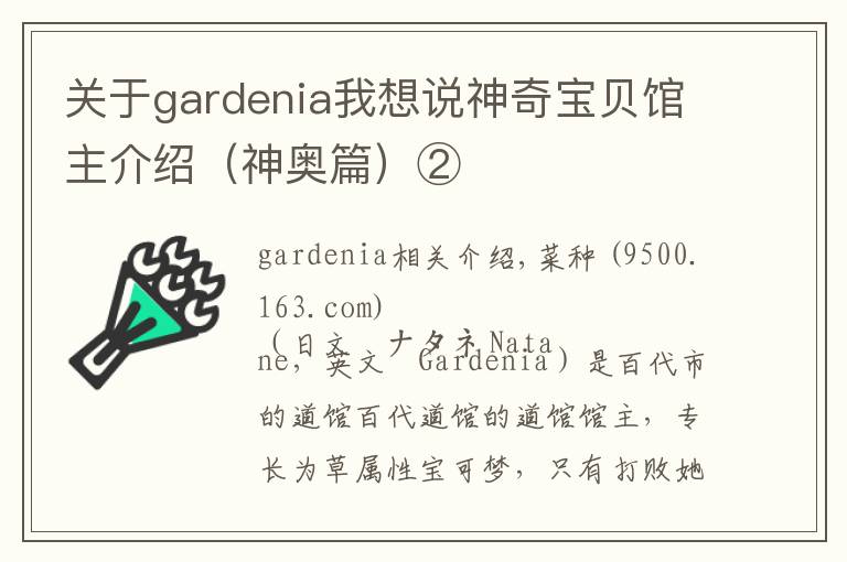 關(guān)于gardenia我想說(shuō)神奇寶貝館主介紹（神奧篇）②