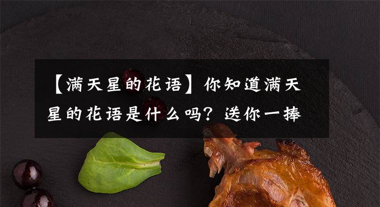 【滿(mǎn)天星的花語(yǔ)】你知道滿(mǎn)天星的花語(yǔ)是什么嗎？送你一捧滿(mǎn)天星，我在思念你