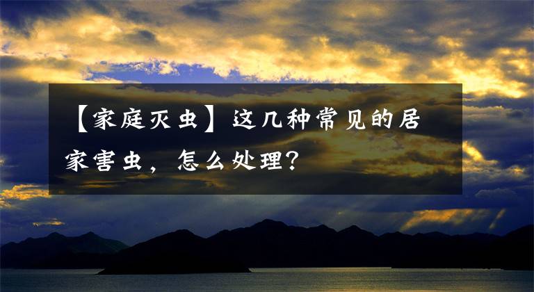 【家庭滅蟲】這幾種常見的居家害蟲，怎么處理？