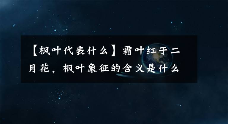 【楓葉代表什么】霜葉紅于二月花，楓葉象征的含義是什么