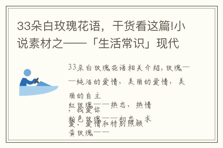 33朵白玫瑰花語(yǔ)，干貨看這篇!小說(shuō)素材之——「生活常識(shí)」現(xiàn)代小說(shuō)中戀愛(ài)必備送花花語(yǔ)