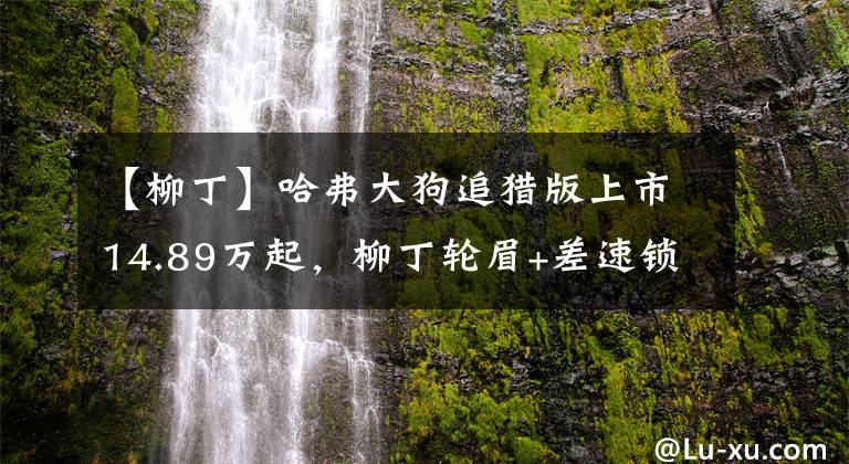 【柳丁】哈弗大狗追獵版上市14.89萬(wàn)起，柳丁輪眉+差速鎖，里外都硬核