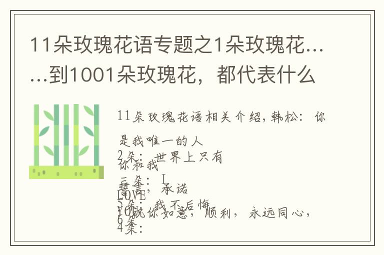 11朵玫瑰花語專題之1朵玫瑰花……到1001朵玫瑰花，都代表什么，你知道嗎？