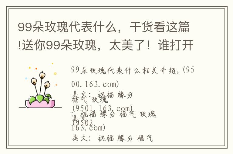 99朵玫瑰代表什么，干貨看這篇!送你99朵玫瑰，太美了！誰打開就是緣分，就是祝福！