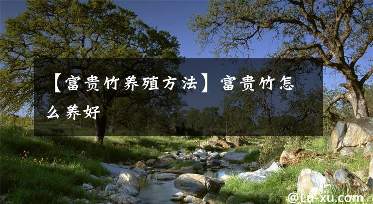 【富貴竹養(yǎng)殖方法】富貴竹怎么養(yǎng)好