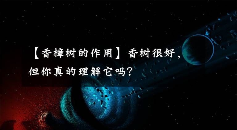 【香樟樹的作用】香樹很好，但你真的理解它嗎？