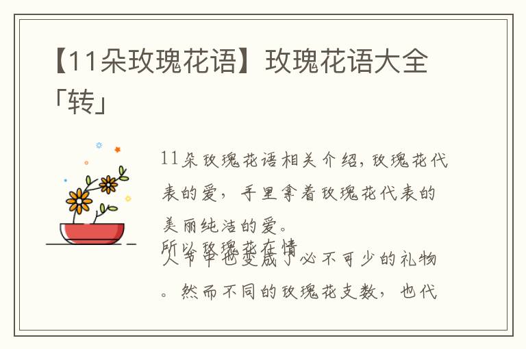 【11朵玫瑰花語(yǔ)】玫瑰花語(yǔ)大全「轉(zhuǎn)」