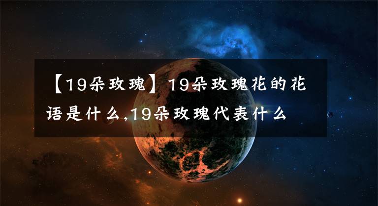 【19朵玫瑰】19朵玫瑰花的花語是什么,19朵玫瑰代表什么