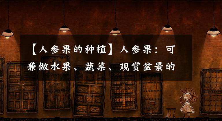 【人參果的種植】人參果：可兼做水果、蔬菜、觀賞盆景的特色作物，栽培技術(shù)詳解