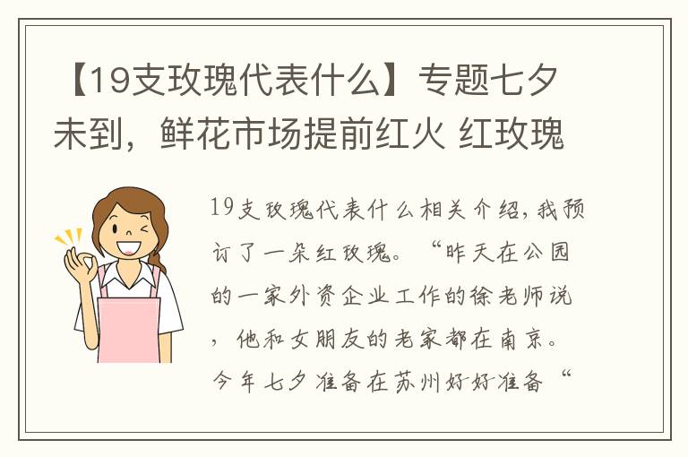 【19支玫瑰代表什么】專題七夕未到，鮮花市場提前紅火 紅玫瑰零售價預(yù)計每支10元