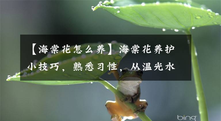 【海棠花怎么養(yǎng)】海棠花養(yǎng)護(hù)小技巧，熟悉習(xí)性，從溫光水肥開始?