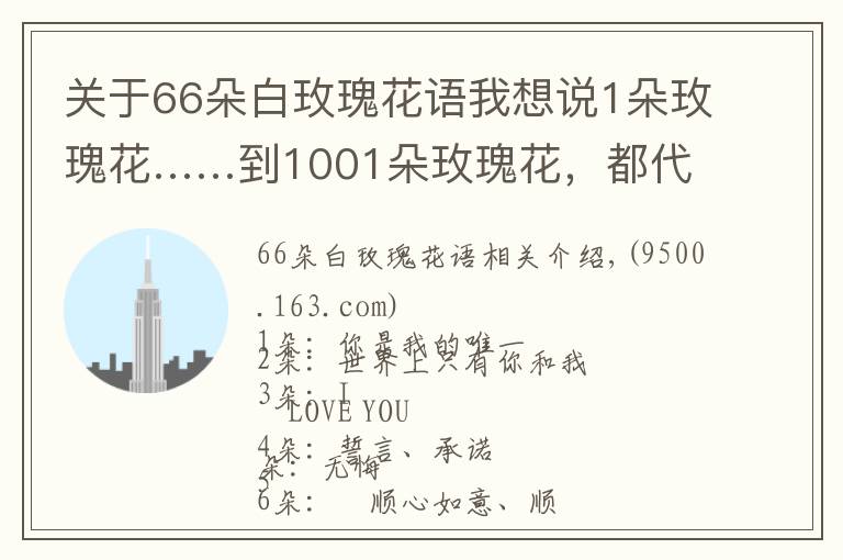 關(guān)于66朵白玫瑰花語我想說1朵玫瑰花……到1001朵玫瑰花，都代表什么，你知道嗎？