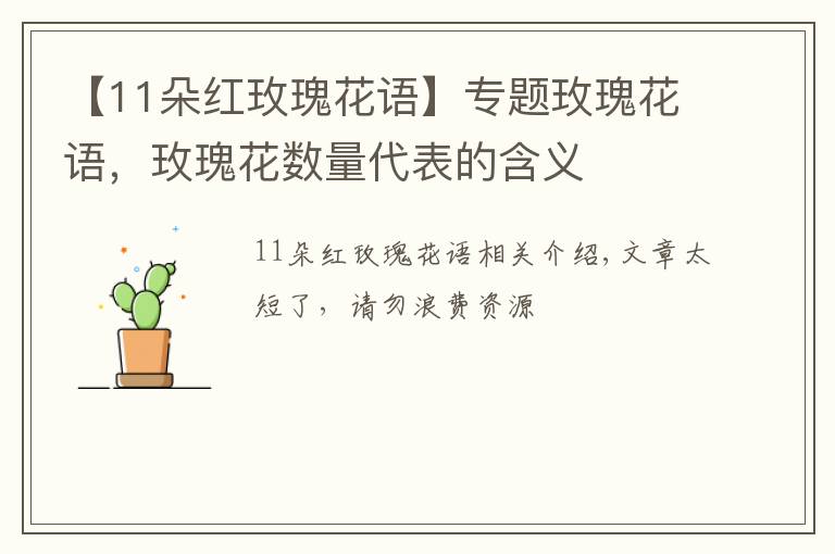 【11朵紅玫瑰花語】專題玫瑰花語，玫瑰花數(shù)量代表的含義