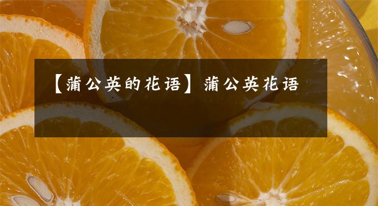 【蒲公英的花語(yǔ)】蒲公英花語(yǔ)