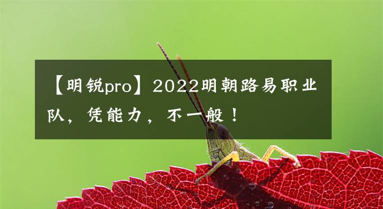 【明銳pro】2022明朝路易職業(yè)隊(duì)，憑能力，不一般！