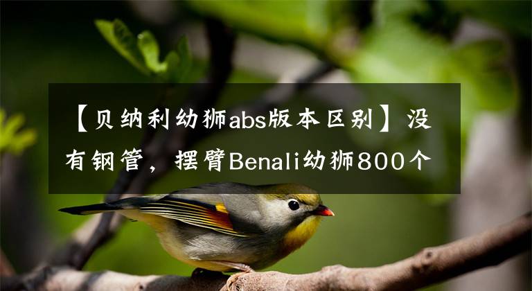 【貝納利幼獅abs版本區(qū)別】沒有鋼管，擺臂Benali幼獅800個版本有什么區(qū)別？