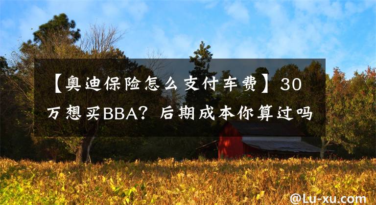 【奧迪保險怎么支付車費】30萬想買BBA？后期成本你算過嗎！用奧迪帶你了解背后的花銷