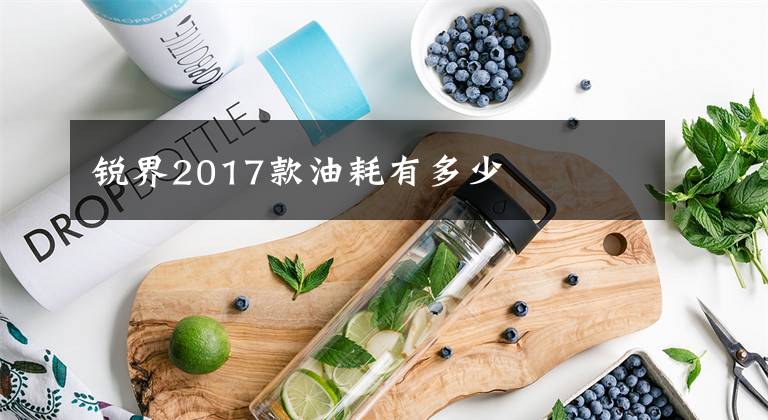 銳界2017款油耗有多少