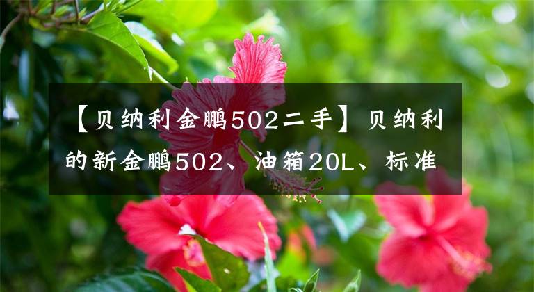 【貝納利金鵬502二手】貝納利的新金鵬502、油箱20L、標(biāo)準(zhǔn)3箱、功率35千瓦，盡情享受莫羅的樂(lè)趣