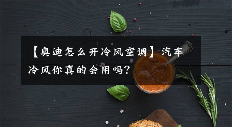 【奧迪怎么開冷風(fēng)空調(diào)】汽車?yán)滹L(fēng)你真的會(huì)用嗎？