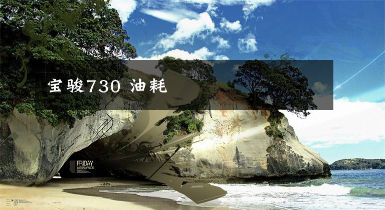 寶駿730 油耗