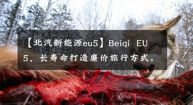 【北汽新能源eu5】Beiqi EU5，長壽命打造廉價(jià)旅行方式。