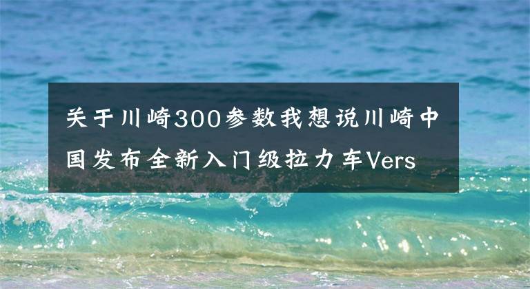 關(guān)于川崎300參數(shù)我想說川崎中國發(fā)布全新入門級拉力車Versys-X300售價：47500元起