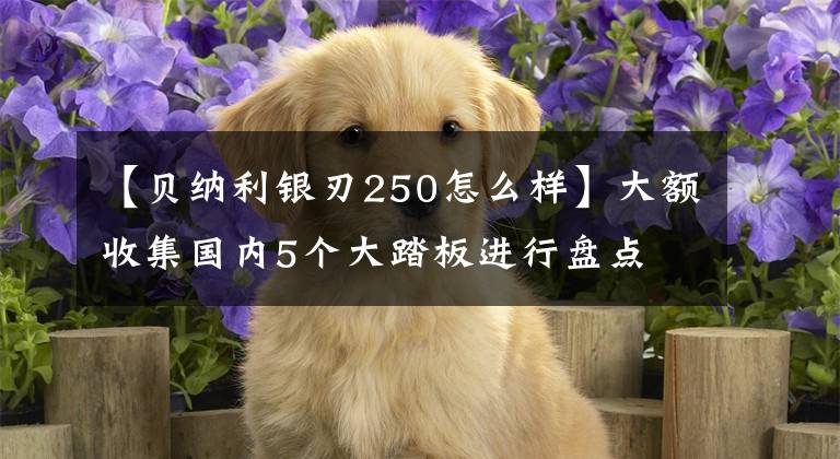 【貝納利銀刃250怎么樣】大額收集國(guó)內(nèi)5個(gè)大踏板進(jìn)行盤點(diǎn)