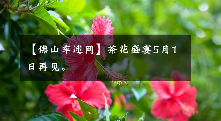 【佛山車迷網(wǎng)】茶花盛宴5月1日再見。