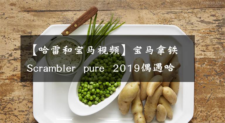 【哈雷和寶馬視頻】寶馬拿鐵Scrambler pure 2019偶遇哈雷48