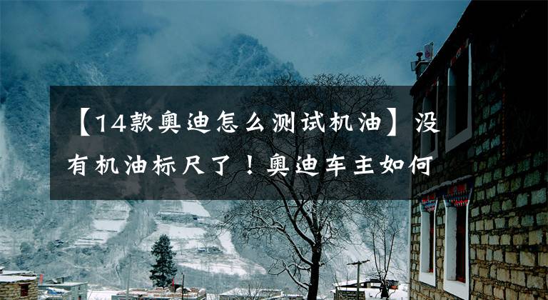 【14款奧迪怎么測試機油】沒有機油標尺了！奧迪車主如何知曉機油是否還正常