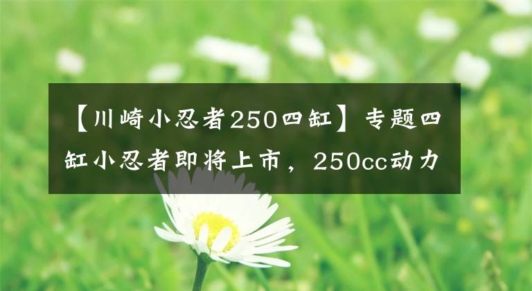 【川崎小忍者250四缸】專題四缸小忍者即將上市，250cc動力秒殺中量級，車友：售價太貴