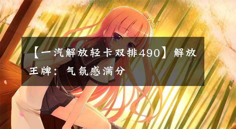 【一汽解放輕卡雙排490】解放王牌：氣氛感滿分