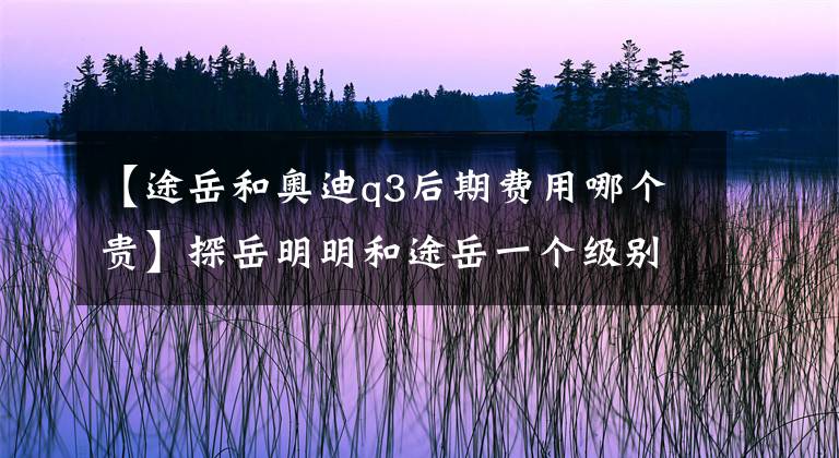 【途岳和奧迪q3后期費用哪個貴】探岳明明和途岳一個級別，為什么硬說自己是中級SUV？