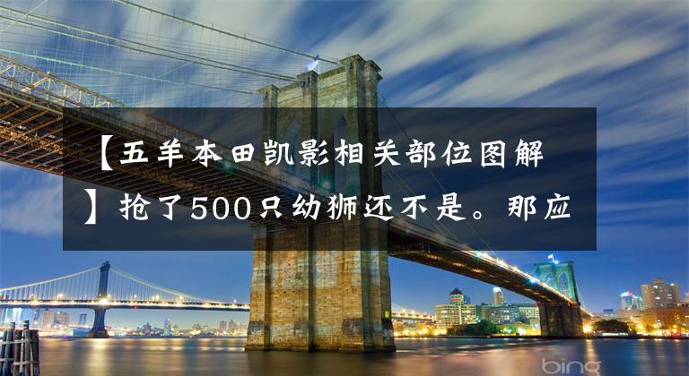 【五羊本田凱影相關部位圖解】搶了500只幼獅還不是。那應該是彎曲的橫梁風向標。野心真大！